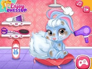 Whisker Haven Pet Care and Dress Up