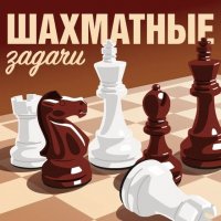 Chess Puzzle Challenges