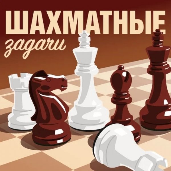 Chess Puzzle Challenges