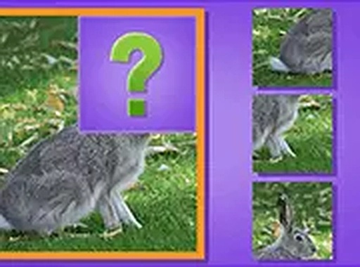 Animal Puzzle Online Game